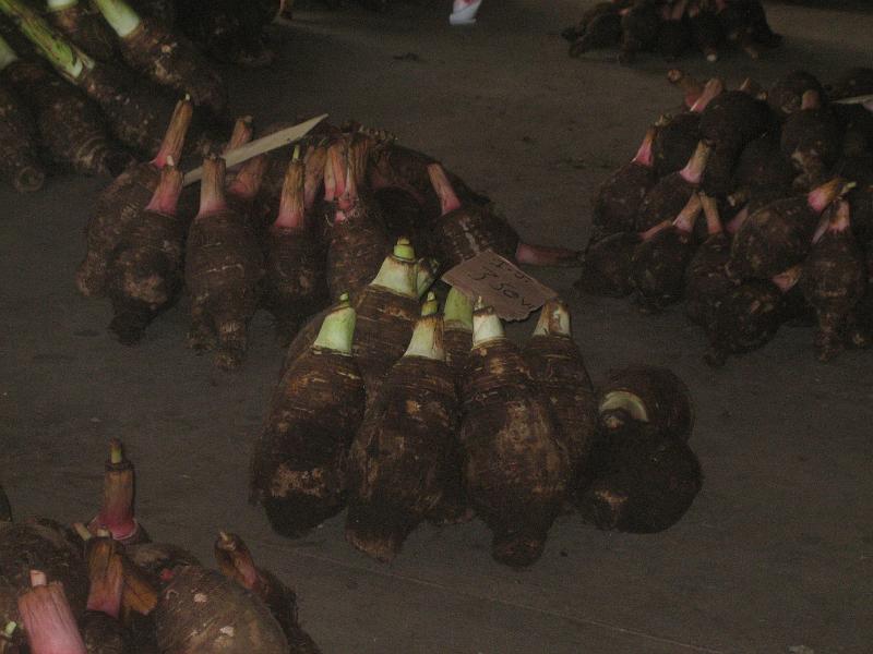 0315 taro.JPG - root crops in local market